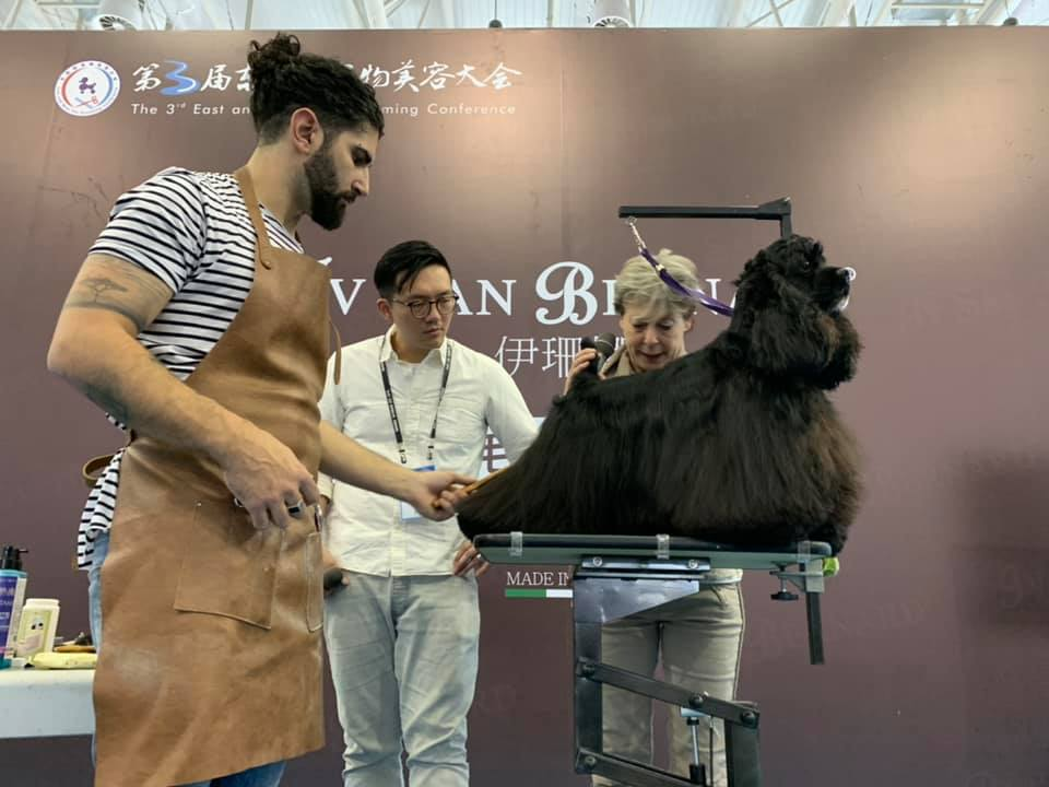 动图1.png